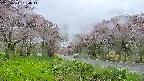 takano1-20250511164017.jpg