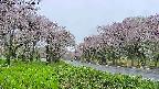 takano1-20250511170015.jpg
