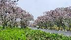 takano1-20250511173017.jpg