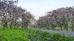 takano1-20250515051017.jpg