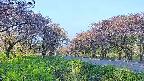 takano1-20250515053016.jpg