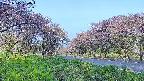 takano1-20250515060017.jpg