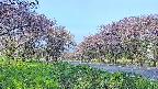 takano1-20250515062017.jpg