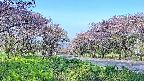 takano1-20250515070017.jpg