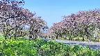 takano1-20250515074017.jpg