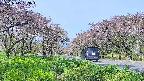 takano1-20250515083017.jpg