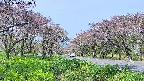 takano1-20250515084017.jpg