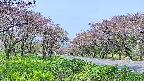 takano1-20250515090017.jpg