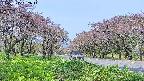 takano1-20250515092015.jpg