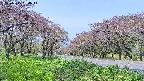 takano1-20250515094015.jpg