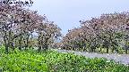 takano1-20250515110015.jpg