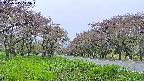 takano1-20250515115017.jpg