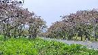 takano1-20250515120017.jpg