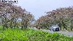 takano1-20250515123019.jpg