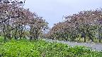 takano1-20250515124017.jpg