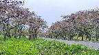 takano1-20250515125016.jpg
