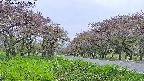 takano1-20250515133016.jpg