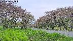 takano1-20250515135017.jpg