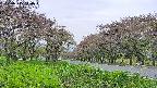 takano1-20250515140017.jpg