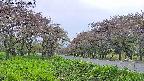 takano1-20250515154017.jpg
