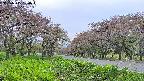 takano1-20250515160017.jpg