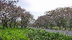 takano1-20250515172015.jpg