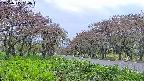 takano1-20250515180015.jpg