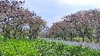 takano1-20250515182016.jpg