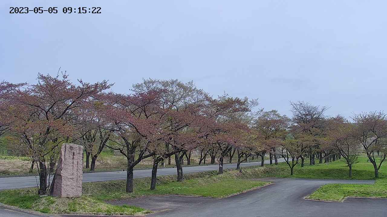 takano2-20230505091523.jpg