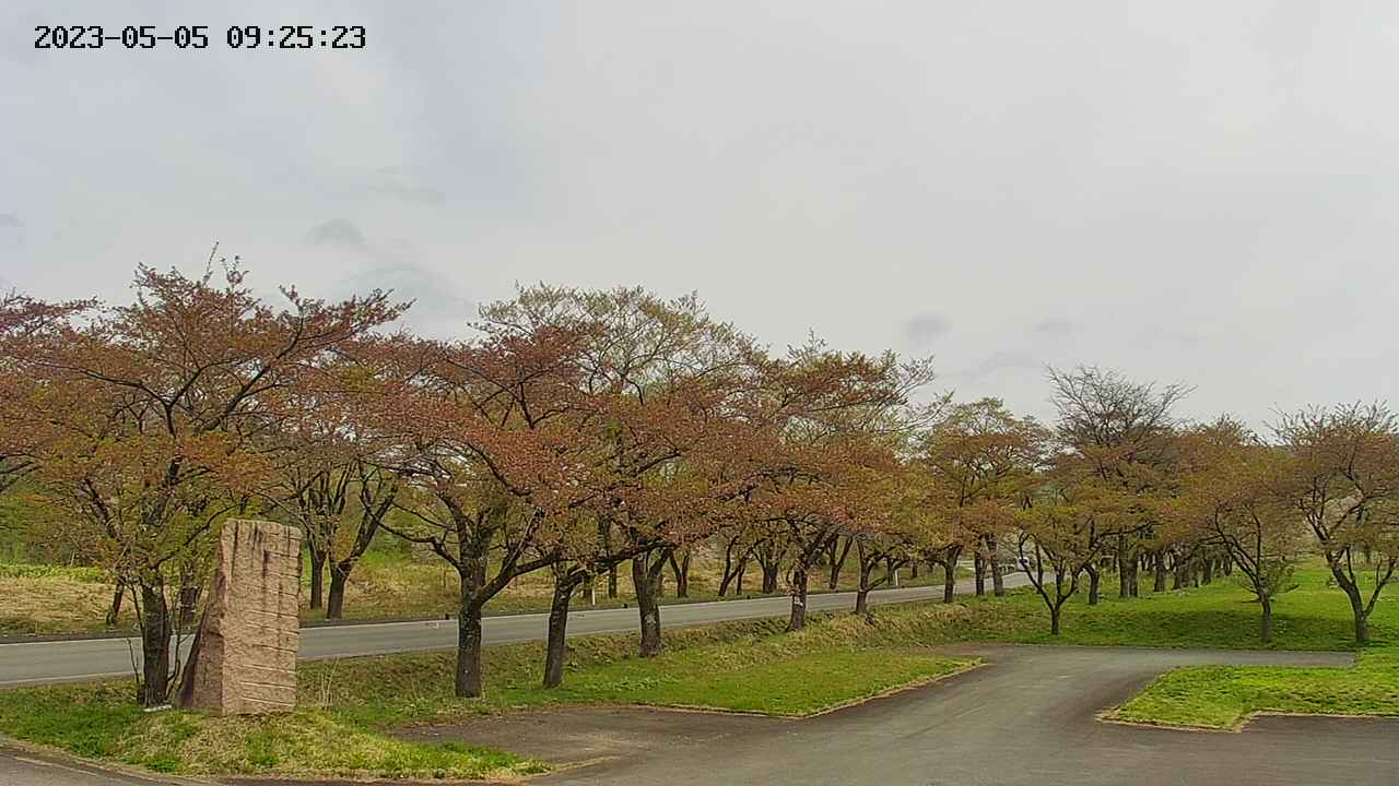 takano2-20230505092525.jpg
