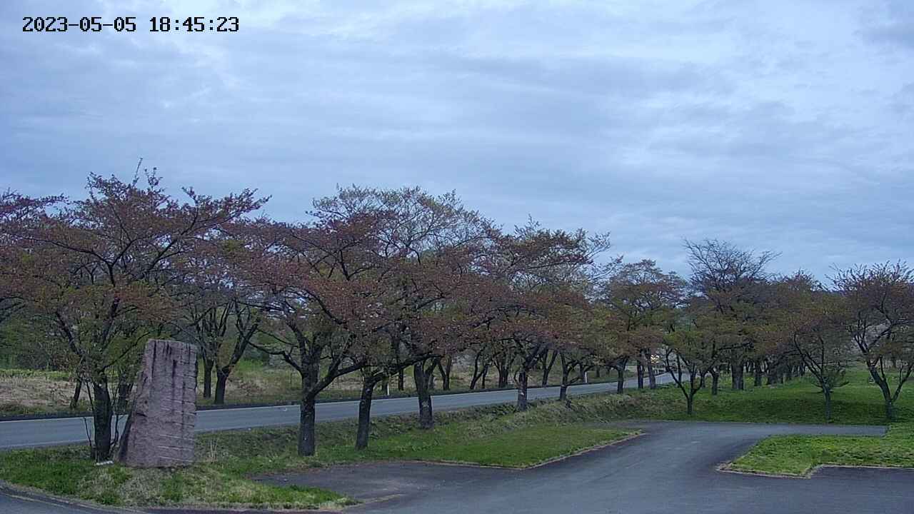 takano2-20230505184524.jpg