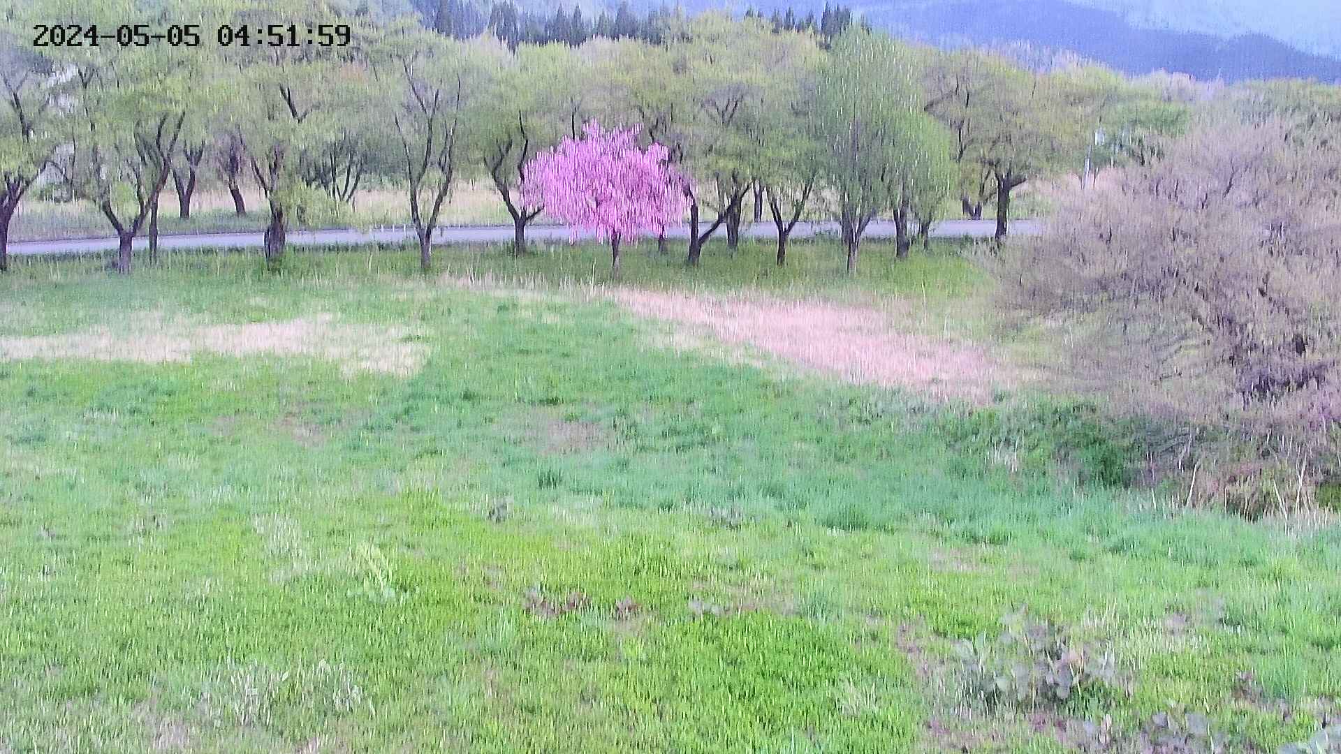 takano2-20240505045200.jpg