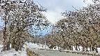 takano2-20250408120028.jpg