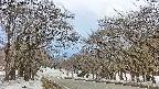 takano2-20250408121029.jpg