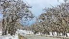 takano2-20250408122030.jpg