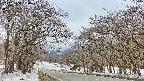 takano2-20250408124030.jpg