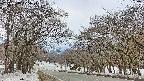 takano2-20250408125028.jpg