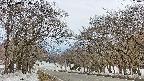 takano2-20250408130029.jpg