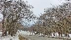 takano2-20250408131029.jpg