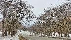 takano2-20250408132031.jpg