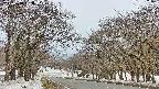 takano2-20250408133031.jpg