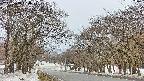 takano2-20250408134029.jpg