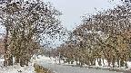 takano2-20250408135030.jpg