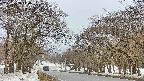 takano2-20250408140031.jpg