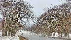 takano2-20250408143030.jpg