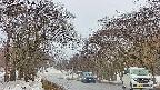 takano2-20250408144032.jpg