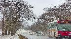 takano2-20250408145031.jpg