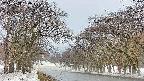 takano2-20250408150031.jpg