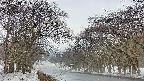 takano2-20250408151030.jpg