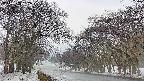 takano2-20250408152030.jpg
